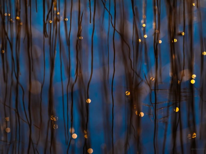 Der Starnberger See – in Arbeit